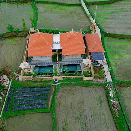 Umesari Villa Sebatu By Uniquecations Ubud  Ngoại thất bức ảnh
